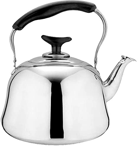 Bouilloire sifflante en acier inoxydable pour cuisinière à gaz, camping, voyage (1 l)