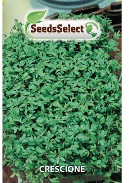 Semi Crescione 2 Buste Maxi,Erba Aromatica,Pianta Officinale,Mondonatura Srl