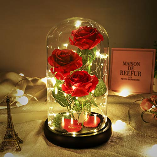 Beauty and The Beast Rose Valentines Day Gifts for Her, Birthday Gifts for Women, Light Up Roses, Glass Dome Rose with LED Lights, Red Roses, Valentines Mother Women's Gift for Mom Wife Girlfriend
