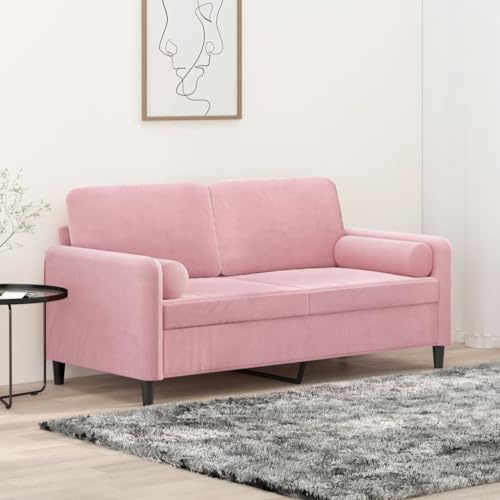 HETFTJN Zweisitzer-Sofa Rosa 158x77x80 cm Samt Metallgestell mit Zierkissen Modernes Design Robust und abnehmbare Bezüge für Wohnzimmer Schlafzimmer Flur