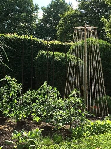 Rankhilfe für Bohnen Gurken Tomaten Gerüst Bohnenzelt Rankgitter Kletterhilfe Gewächshaus