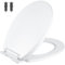 Hanra Sedile WC con chiusura ammortizzata con sgancio rapido per una facile pulizia, semplice fissaggio superiore, forma ovale standard, bianco, con cerniere regolabili, 430 x 355 cm
