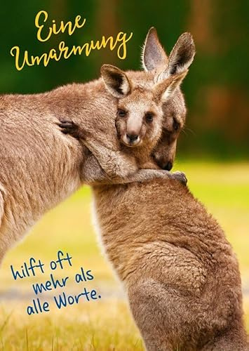 Gutsch Verlag Freundschaftskarte mit Spruch: Eine Umarmung sagt mehr als Worte - Tierpostkarte