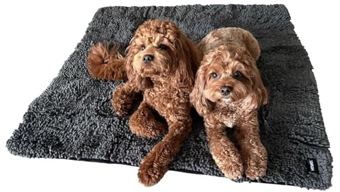 HOWEL Throw Down Towel for Drying Dogs, 43 x 35, Ultra Absorbent Microfiber, Quick-Drying, Double-Sided Suede Chenille, Machine Washable, Soaks Over 2L, Grey Dog Bath Mat Towel
