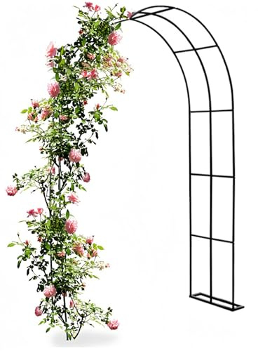Robust rosspaljé i metall för klätterväxter robust galvaniserad trädgårdsspaljé hållbar trädgårdsdekoration svart (B 120 x H 220 cm)