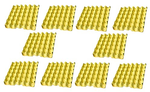 SHINEOFI 10pezzi Vassoio Per Uova Domestico Contenitore Per Conservazione Uova Organizzatore Per Fruibile in Frigorifero Materiale Ecologico Sicuro e Facile Da Pulire