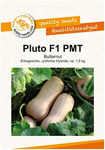 Kürbissamen Pluto F1 Portion