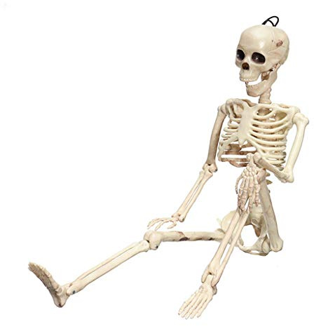 Prótesis dentales Cráneo espeluznante fiesta de Halloween figura osature Scary Ossature Human Prop Novedad Divertida Guitarra de Aire Inflable Aprox. cm Con Selector de Color Azul (Blanco, Talla Única