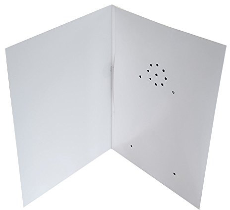 Talking Products, Aufnehmbare Grußkarte mit Sprachaufzeichnung, 40 Sekunden. Nehmen Sie eine persönliche Nachricht, Musik oder Soundeffekte für Geburtstage und Weihnachten auf und senden Sie sie