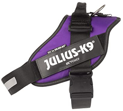 Julius-K9, IDC Powergeschirr, Größe: XL/2, Dunkelviolett