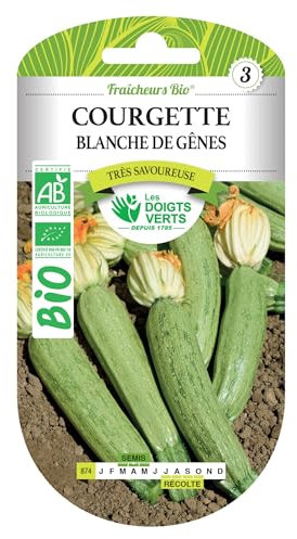 Graines courgette blanche de Gênes BIO Les Doigts Verts