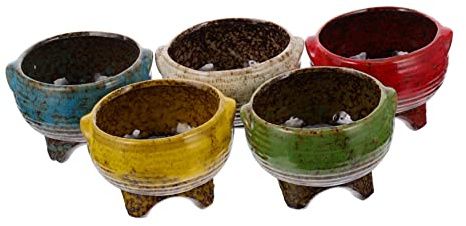 BESPORTBLE 5piezas Maceta para Suculentas De Cerámica para Cactus para Jardín y Balcón Maceta para Bonsái