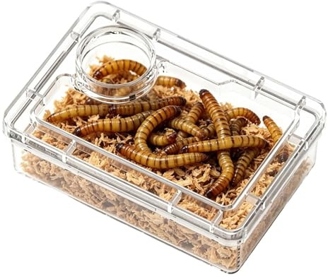 Mangiatoia per rettili a prova di fuga, per mangime per eremiti, granchi, lucertole, per migliorare la gestione della cura per eremita, granchio, rana, , camaleonte, iguana, lucertola