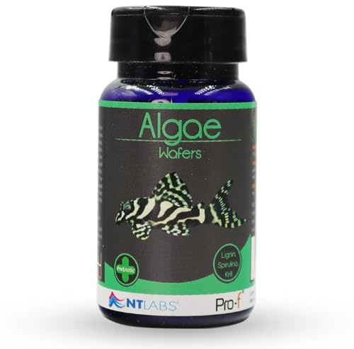 NT Labs Pro-f Algae Wafers Sinking Fish Food 13mm Discs (40g)