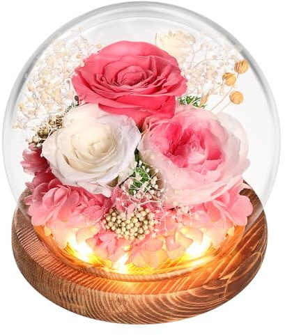 WYRIAZA Rosa Stabilizzata Vera in Vetro, Idee Regalo Donna Mamma Compleanno San Valentino per Lei Natale Festa Della Mamma
