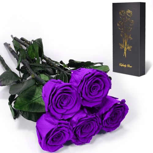 Yamonic Rosa Eterna Regalos Mujer, Rosa Preservada con Tallo Regalo Cumpleaños Mujer, Flores Preservadas Regalos Mujer, Rosa Eterna Natural Preservada Regalo San Valentín (5-Violeta, 5)