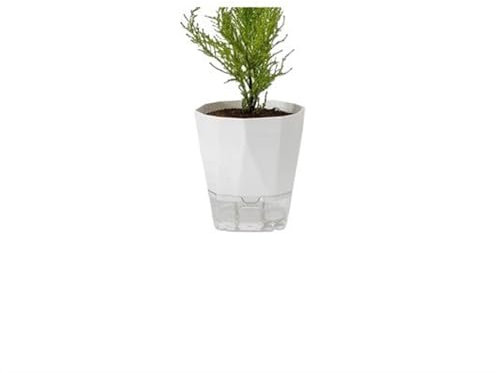 Zhaoj24-05 Macetas de Interior Macetas sin riego Macetas autoabsorbentes Macetas suculentas de orquídeas de balcón de plástico Maceta(Blanco,Grande)