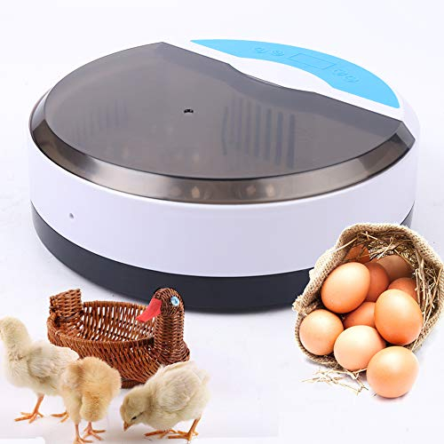 Brutmaschine Vollautomatisch 8 Eier Automatische Temperaturregelung Vollautomatisch Brutautomat Eierbrutschrank mit LED-Eierleuchter für Huhn Ente Gänseeier