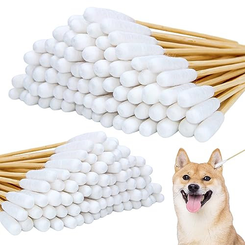 aurorayer 200 Stück Wattestäbchen für Hunde,Ohrenstäbchen Hunde 2 Größe Ohrreiniger Wattestäbchen für Hunde, Katzen, Pferde, Zahnreinigung, Ohrenreinigung