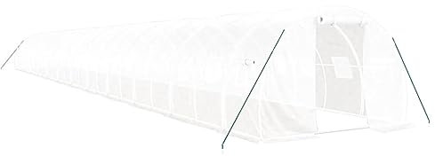 vidaXL Serre avec Cadre en Acier Blanc 72 m² 24x3x2 m, polytunnel, Serre à Cadre Froid, Serre pour Tomate, Serre de Jardin, Serre pour Culture