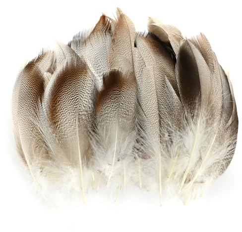 100 Pcs Natural Feathers Fluffy Natural Goose Feathers 6-12cm DIY Crafts Feathers Bulk Feather for Hats Earring Wings Dream Catcher Activities Project Wedding Party Cosply Props Home Decoration