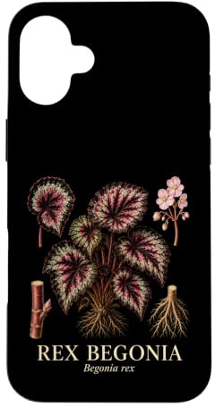 Rex Begonia Begonia Rex Colorful Houseplant Plant Study Case for iPhone 16 Plus