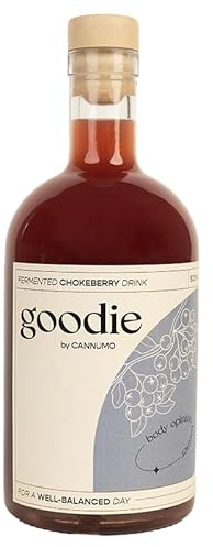 Goodie Fermented Superfood Drink – Probiotic Wellness Beverage, 500ml Bottle, Gut Health, Antioxidant-Rich, Vegan, Natural Ingredients, Assorted Flavours (500ml, Chokeberry)