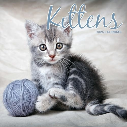 Kattunge 2026 traditionell kalender