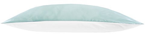 Jasmine Silk 100% Pure Mulberry Silk 19 Momme Charmeuse Silk Pillowcase With Cotton underside for Hair and Skin 1pc 50 x 75 cm Hypoallergenic Envelope Closure (Duck egg)