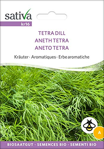 Sativa Rheinau kr16 Dill Tetra (Bio-Dillsamen)