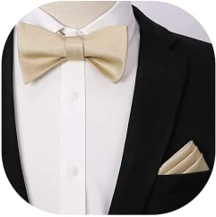 HISDERN Herren Einfarbig Fliege Einstecktuch Set Hochzeitsfeier Zubehör （Cremeweiß）