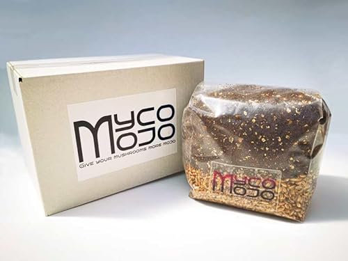 Myco Mojo 4-Pack All in One Mushroom Grow Kit 6Kg