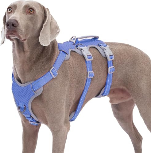 Huntboo Hundegeschirr Ausbruchsicher, Panikgeschirr Hund, Reflektierender Gurt mit Gepolstertem Griff, Atmungsaktiv, Verstellbare Weste für Große Hunde, die Spazieren Gehen,und Rennen (Vista blau, L)