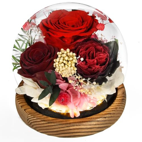 Ewige Rose im Glas mit Licht, Infinity Blumen Konservierte Rosen als Geschenke für Frauen Mama Oma Freundin zum Valentinstag Muttertag Geburtstag Jahrestag Thanksgiving Hauptdekor Weihnachten, Rot