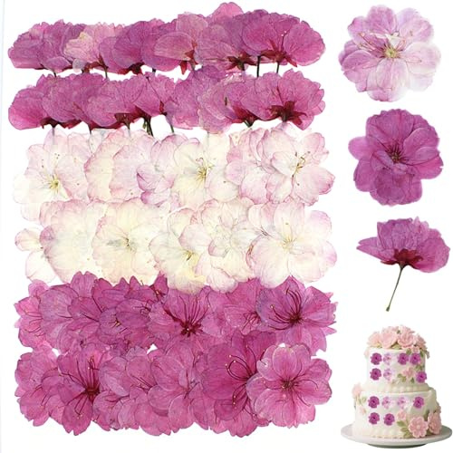 SGQTGIMU 30 unidades de flores de cerezo secas naturales para decoración de tartas, flores secas prensadas, decoración para cupcakes, decoración para tartas, bodas, cumpleaños, pasteles de primavera