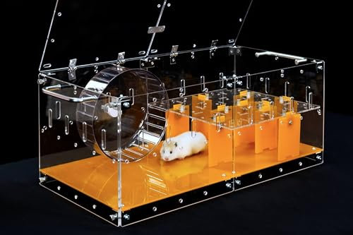 GuineaLoft™ Acrylic Cage (Model-P3) - Small 2x1 ft Enclosed w/Lid & Bottom for Hamsters, Rats, Mice, Gerbils, Also Works for a Single Guinea Pig, or as a Transport Cage