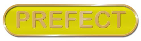 Prefect School Bar Badge - 45mm x 10mm - Enamel on Metal - Safety Pin Fixing - Epoxy Coating (YELLOW)
