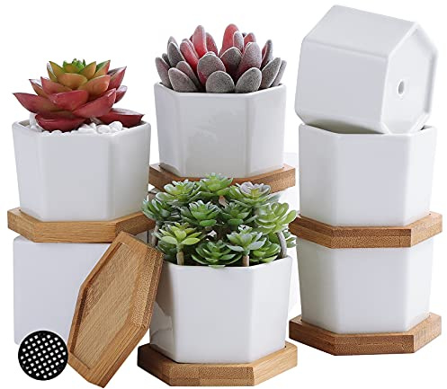 Fippy 7cm Klein Keramik Blumentopf Weiß Sukkulenten topf Mini Blumentopf mit Untersetzer, Perfect für Home Office Balkon Dekor, 6er Set