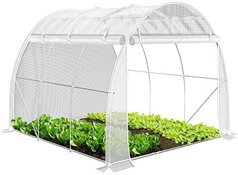 VOUNOT® Serra da Giardino a Tunnel, Serra Orto con Finestre Avvolgibili per Piante Verde e Frutto, 3 x 2 x 2 m 6m², Bianco
