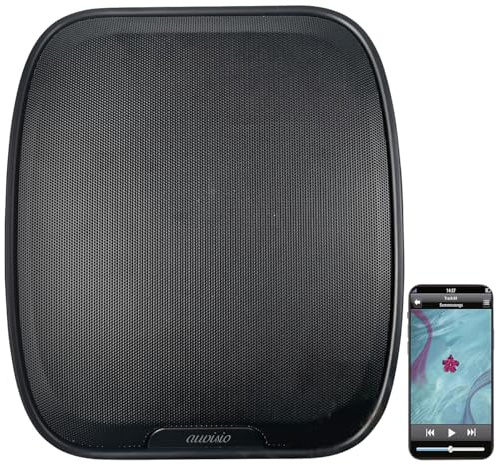 Haut-Parleur Mural Rechargeable avec Radio et Fonction Bluetooth - Coloris Noir [auvisio]