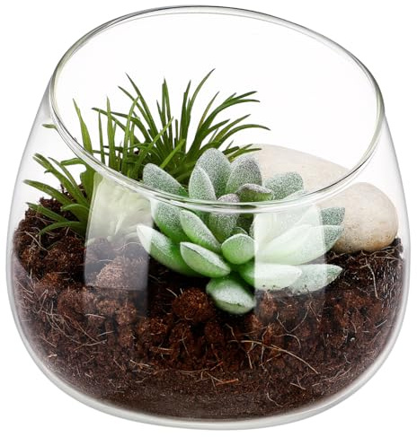 FOMIYES Recipiente de Cristal Transparente para Plantas Suculentas, Maceta Pequeña Multifuncional para Centros de Mesa y Jardines Interiores, Apta para Terrarios y Decoración
