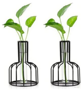 2 Stück Schwarze Blumenvase mit Metallrahmen, Klares Glas, Pflanzen Reagenzglas für Wohnzimmer Hochzeit Tisch Badezimmer Esstisch Herzstück Für Die Hochzeit