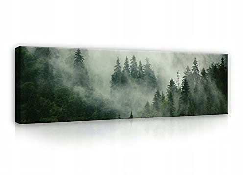 WallArena - Leinwand Bilder - Wald Nebel Grün Natur - 145x45 cm Leinwandbilder - Bild auf leinwand - Wandbild XXL groß Wandbilder für Wohnzimmer Schlafzimmer Wohnzimmerbilder Modern