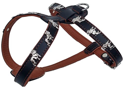 Bully Französische Bulldogge French Bulldog Frenchie Geschirr Brustgeschirr Echt Leder - 3 Verschiedene Größen Schwarz-Braun (Brustkorb 49-56cm)