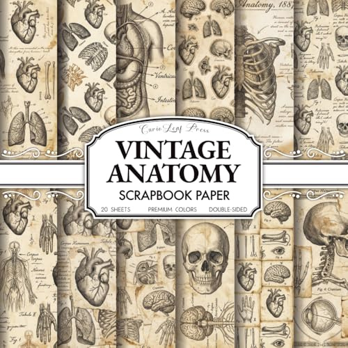 Vintage Anatomy Scrapbook Paper: 20 Double-Sided Antique Anatomy & Victorian Medical Illustration Papers Featuring Skulls, Skeletons & Organs for Junk ... Dark Academia Craft Pad (8.5 x 8.5 Inches)
