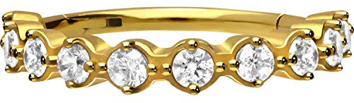 PIERCINGLINE Chirurgenstahl Segmentring Clicker | EINGEFASSTE KRISTALLE | Piercing Ohr Helix Tragus Conch Lippe Septum Ring | Farb- und Größenauswahl