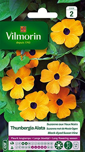 Vilmorin 5809542 Pianta rampicante, Giallo, 90 x 2 x 160 cm