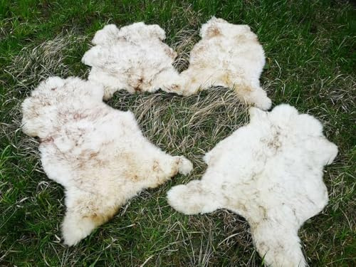 Provellus Echt Öko Schaffell Lammfell Fell Geflammt Bis 140cm 2.Wahl Schnäppchen (eher hell geflammt, 90-100cm lang)