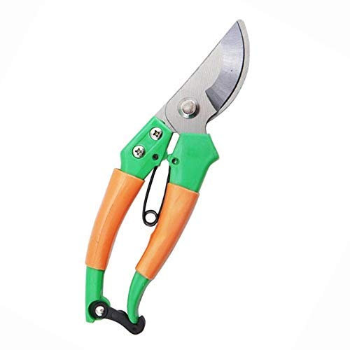 Cesoie da potatura, Forbici Professionali, affilate, da Giardino, manuali, per Rami, da Giardinaggio, potatori, tagliasiepi