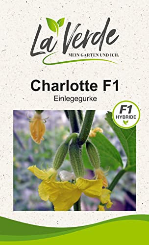 La Verde MEIN GARTEN UND ICH. Charlotte F1 Gurken Samen für ca. 40 Pflanzen, ertragreiche Einlegegurke, bitterfrei und multiresistent, Saatgut ohne Gentechnik